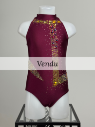 Justaucorps d'occasion GR prune, vue de face, taille 8-10 ans, vendu